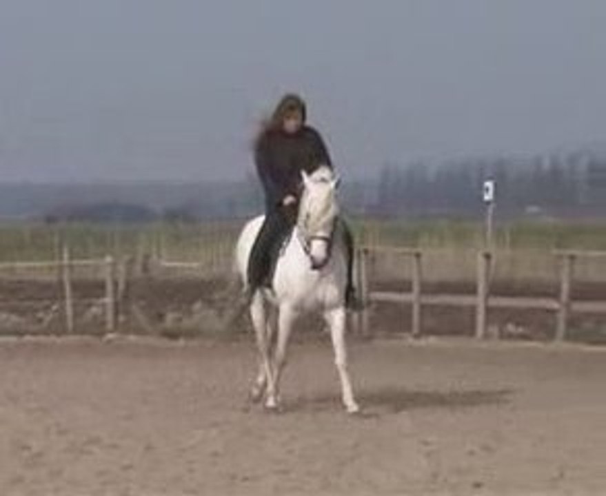 Shagan petite seance de travail