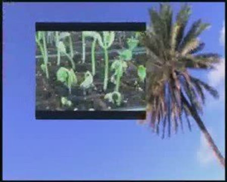 عبد الحليم حافظ انا من تراب ‎