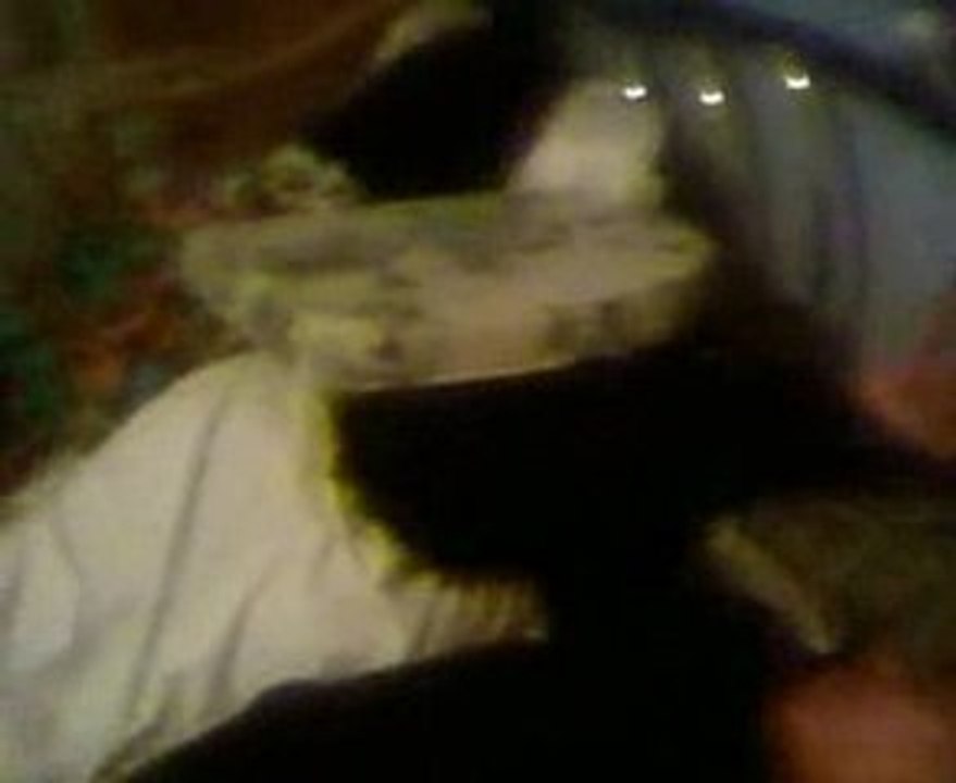 Smashfest Dijon 19/04/09 Dur le reveil =D