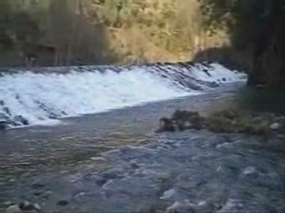 RESTAURANTE A TRANCA DA BARRIGA E O BOM CABRITO