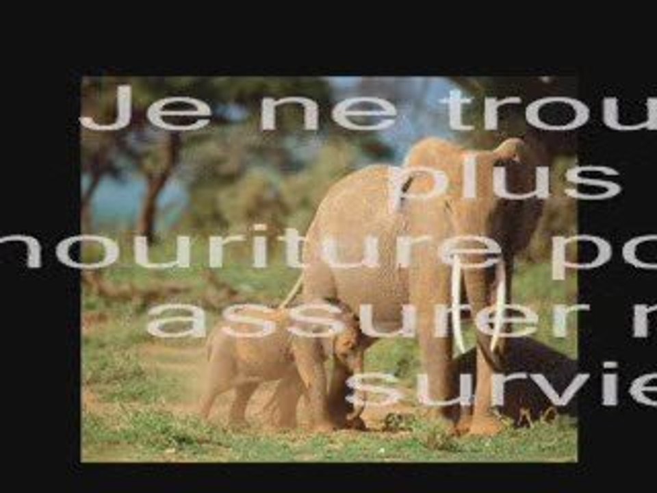 Ils pouraient le dire