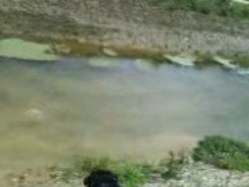 Cisko et Chiara à la robine 1