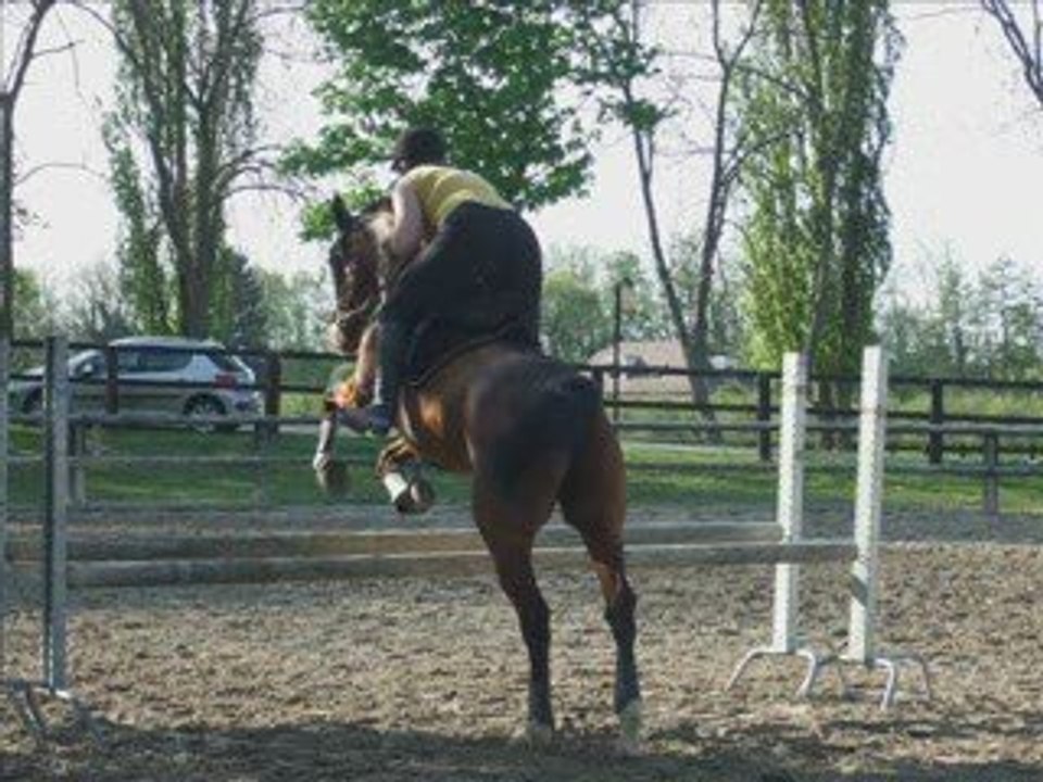 Cso du 19 avril 2009