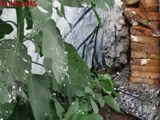 MUTO: a wall painted animation by BLU