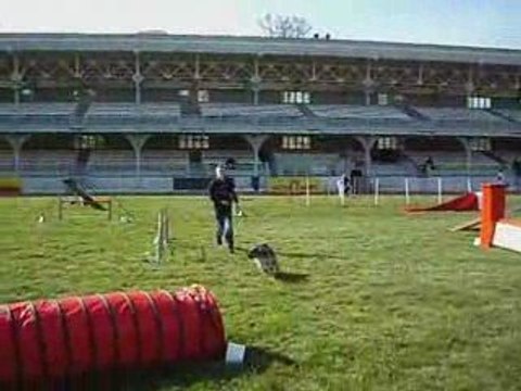antoine et pepsi open agility vichy 2009