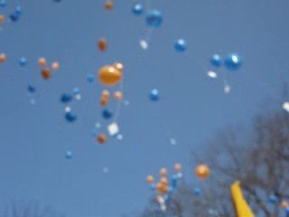 Da Costa School 100 jaar