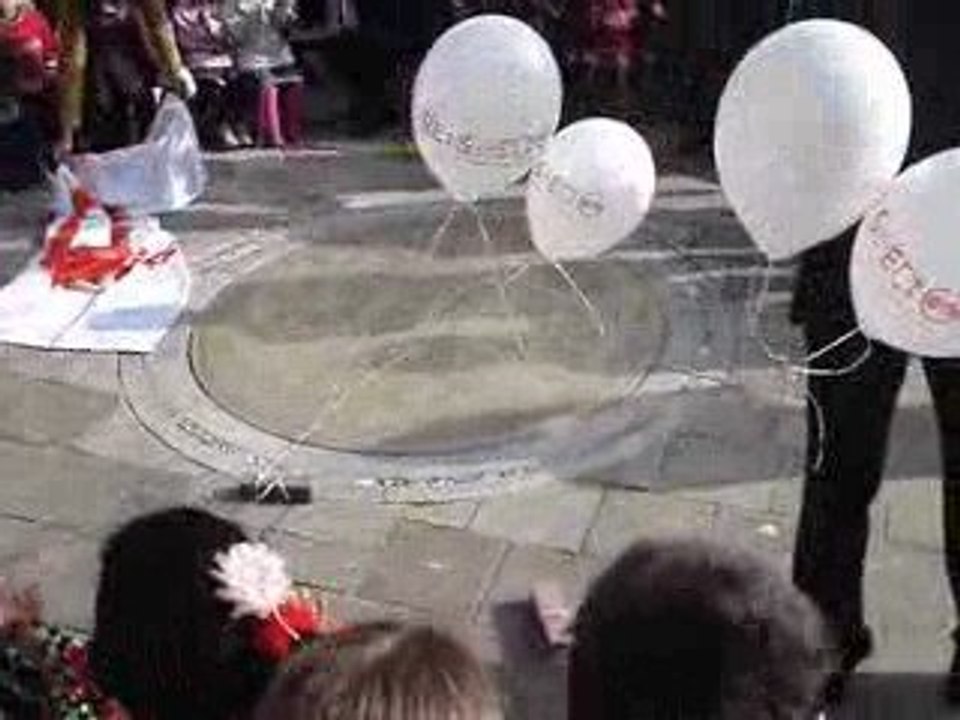 Da Costa School 100 jaar