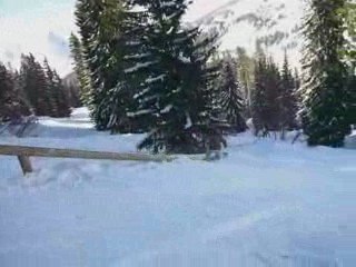 Montage Tricks Snow