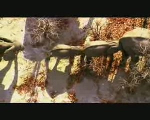 Earth - La Nostra Terra (Trailer ITA)