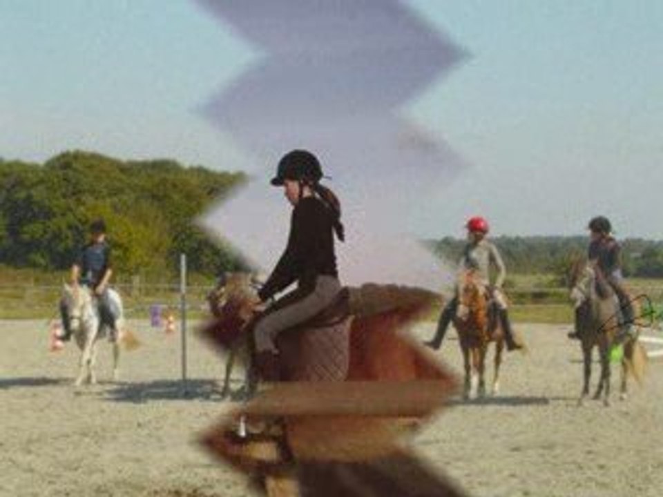 chevaux