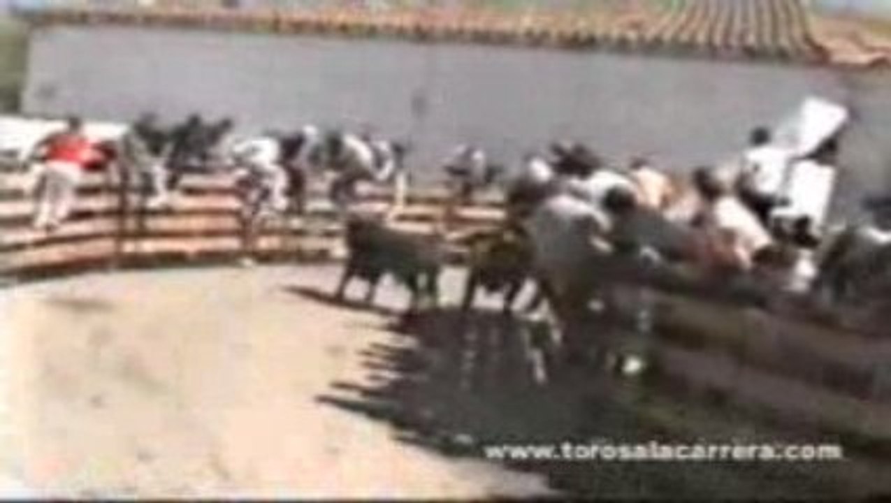 Encierros en Talamanca del Jarama 2004