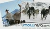 Snowresa : Vacances dans les Alpes en été, séjours au ski