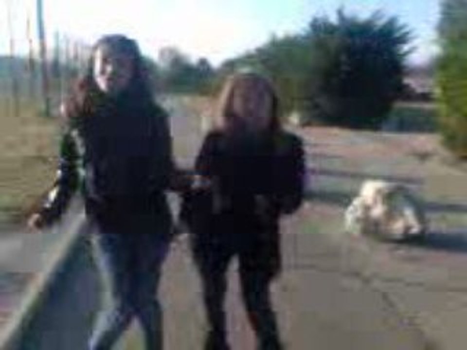 La danse des canards