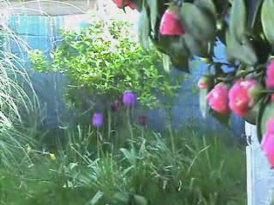 Tiens voilà la printemps