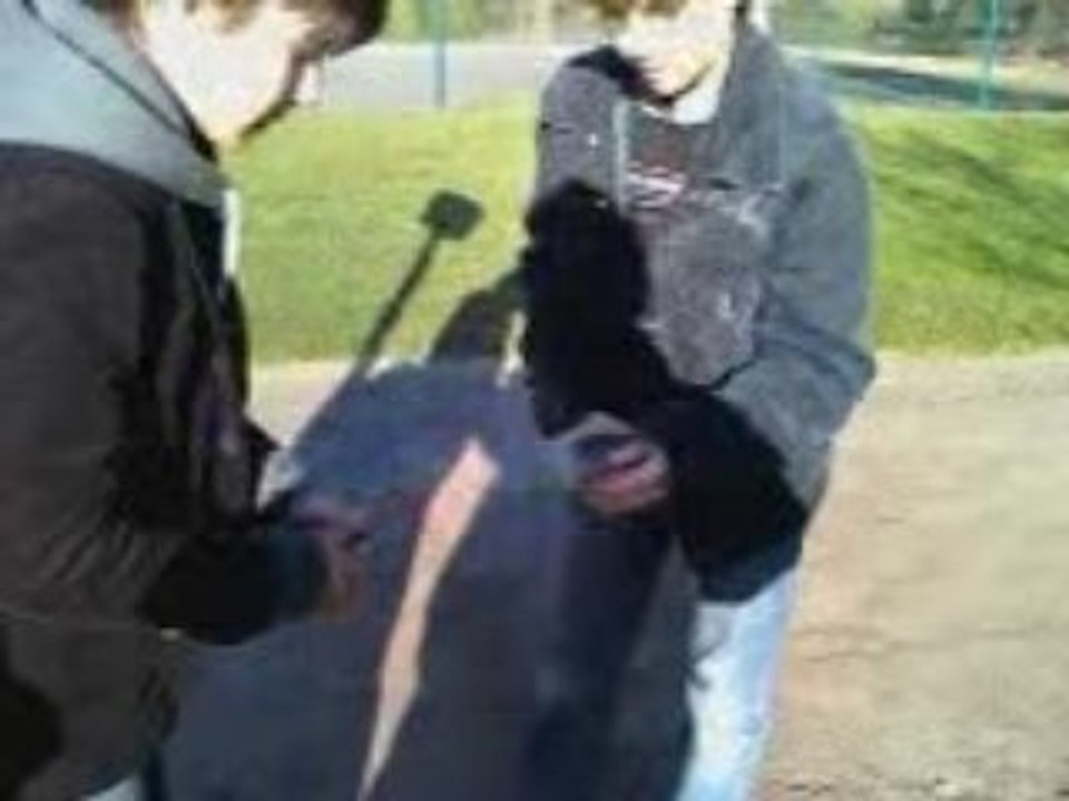 Pétard dans une bouteille