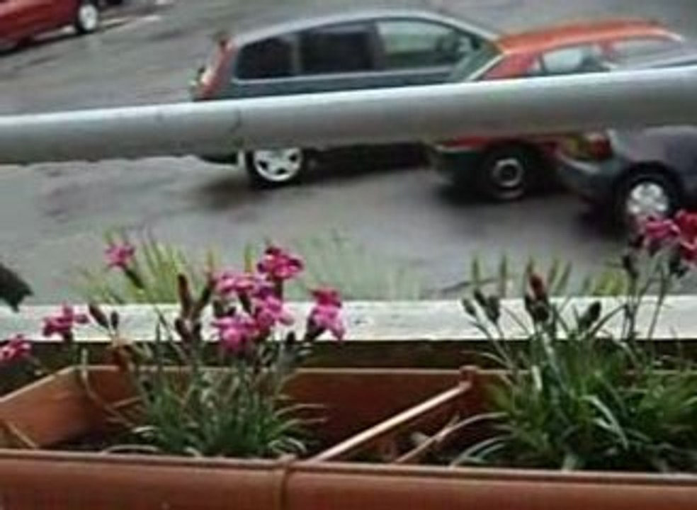 Merlo, le barde du balcon