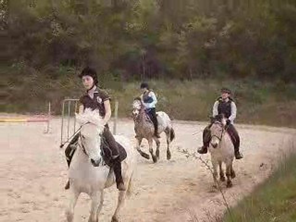 Trot puis galop sans les étriers...