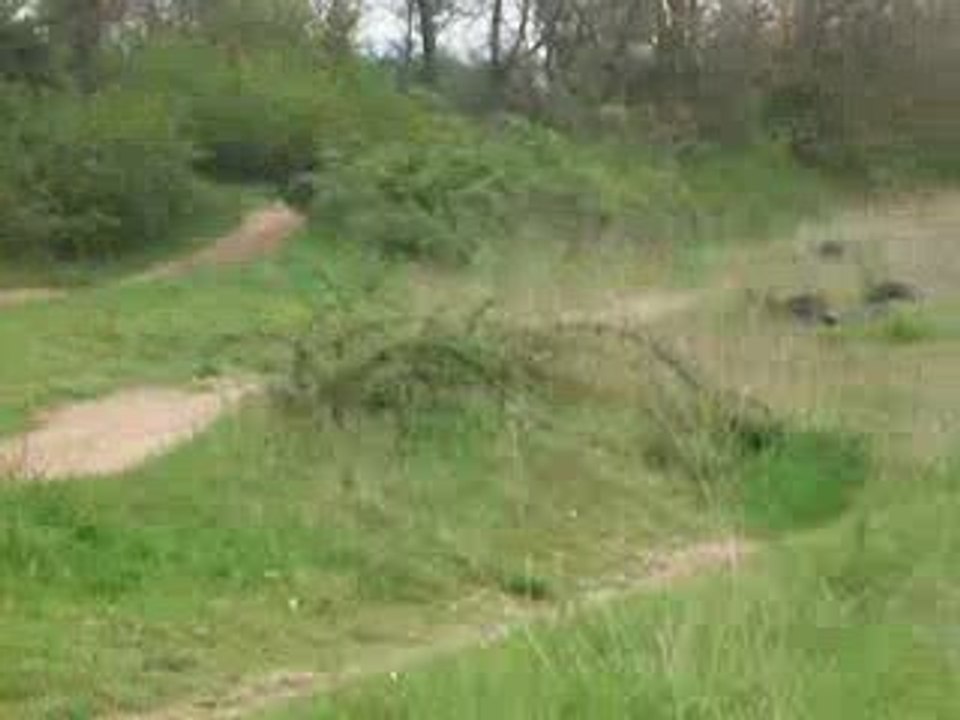 voici mimi en dirt  et alex avec la yz