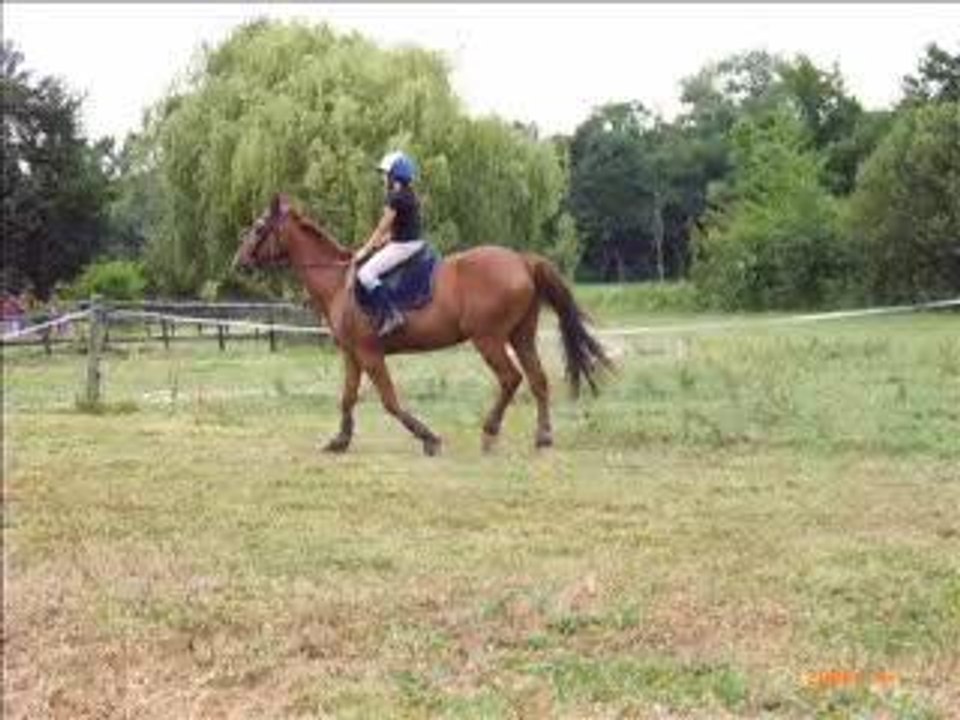 travail de jathilde