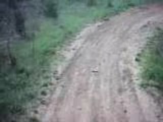piste enduro en dirt au tourniex ( cam embarquer )