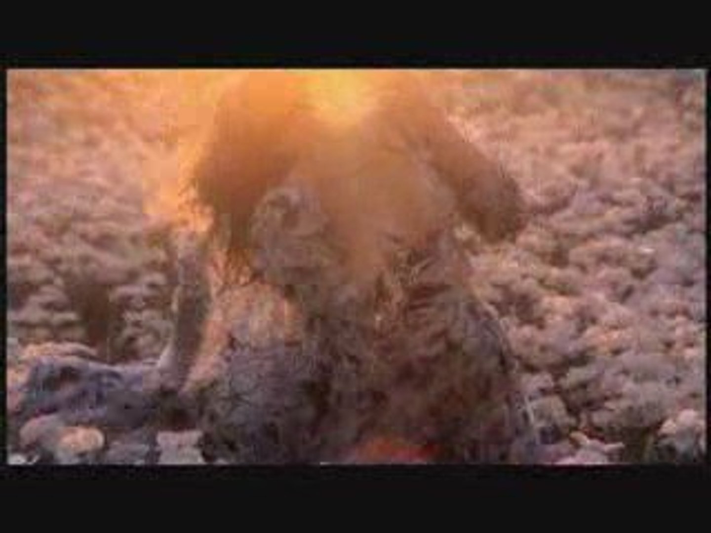 chris cunningham gucci