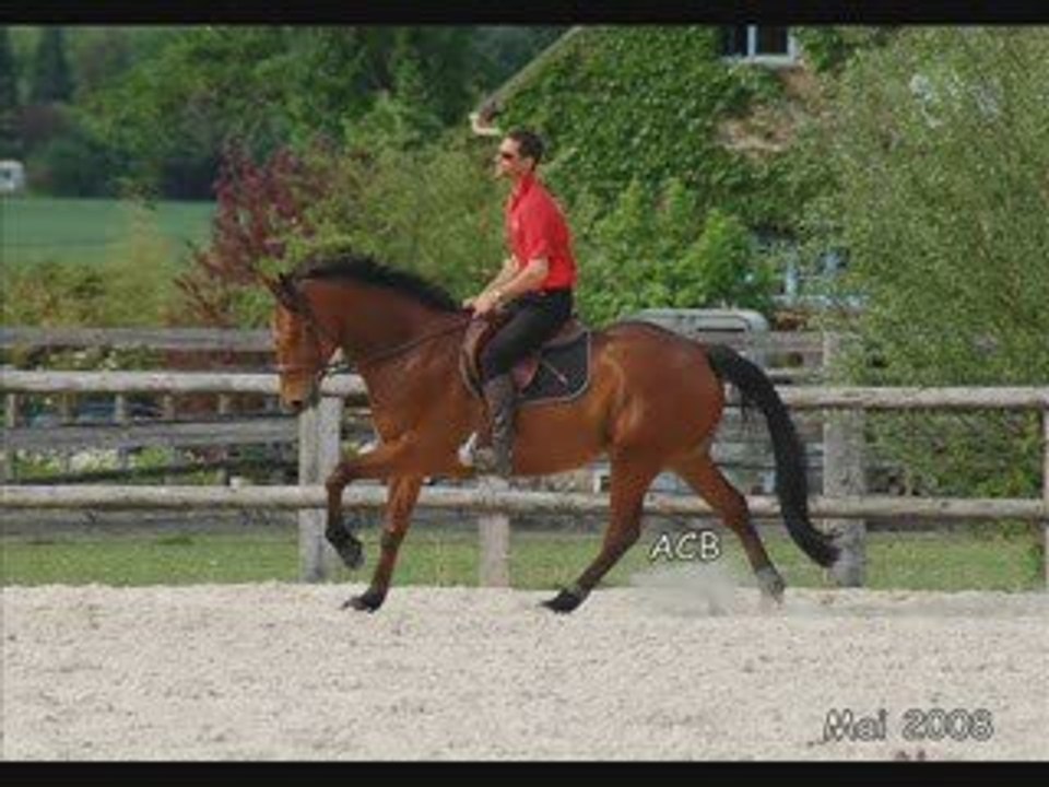 Natif en photos