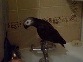 Jako a la douche