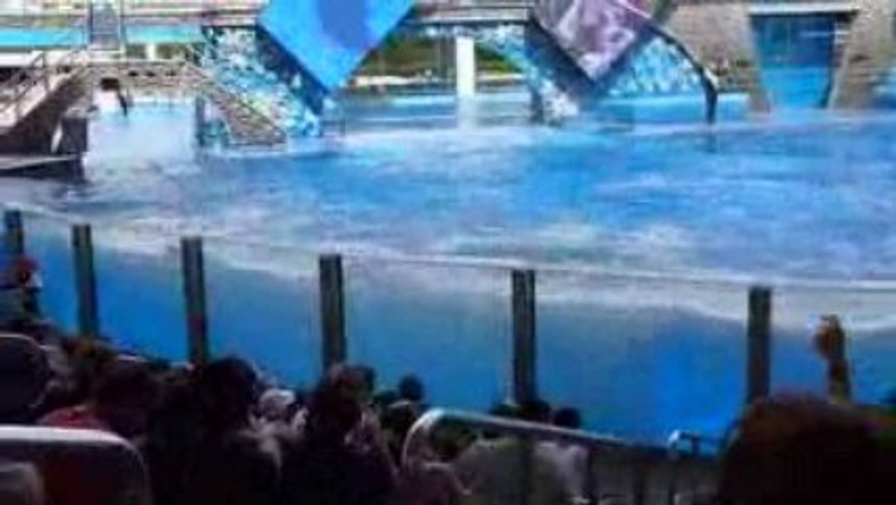 Seaworld - Believe (2)