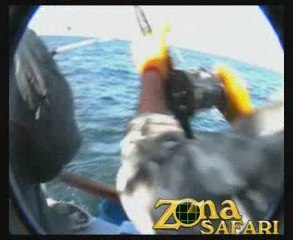 Pesca en Mar del Plata con Sandokán #4