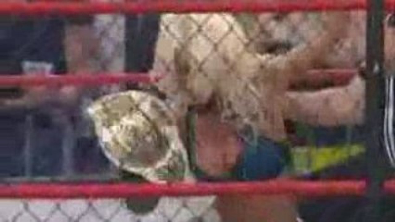 TNA Lockdown 2009 12/21