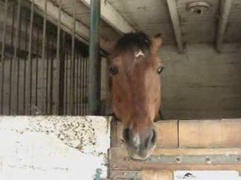 Parc forestier de la poudrerie(vaujours 77)