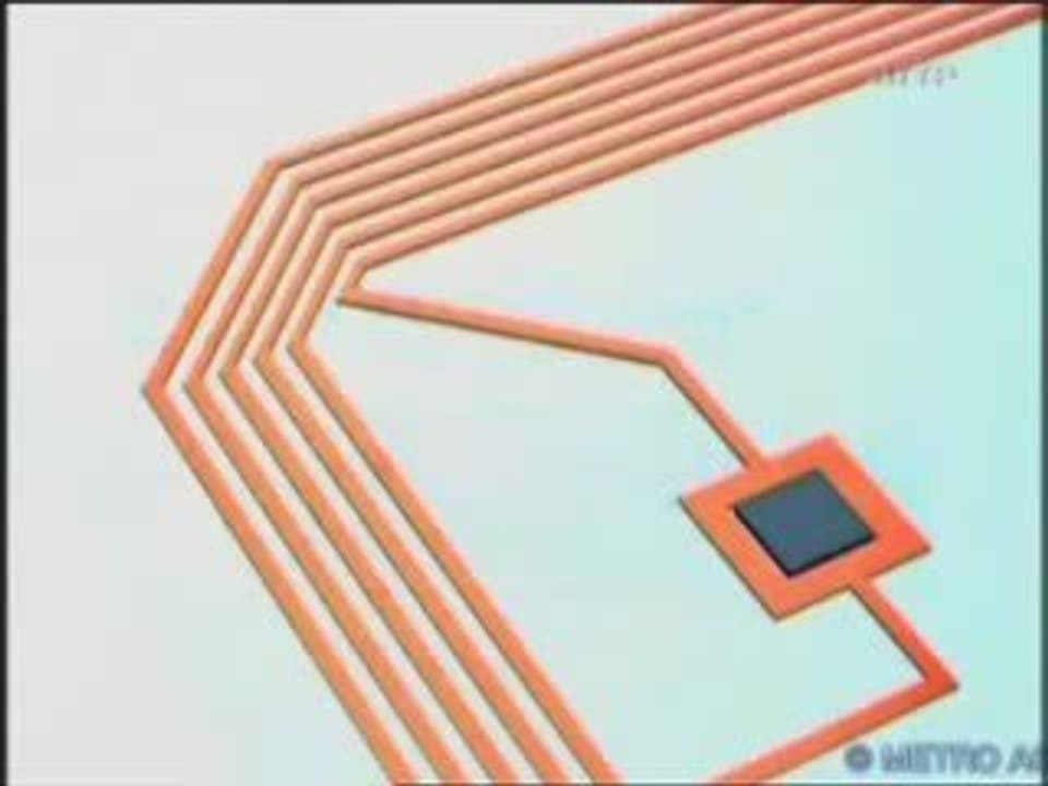 Avertissement une puce peut en cacher une autre