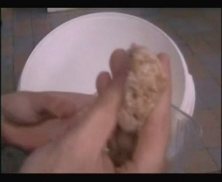 Bombx Farm' // Nourriture pour insectes