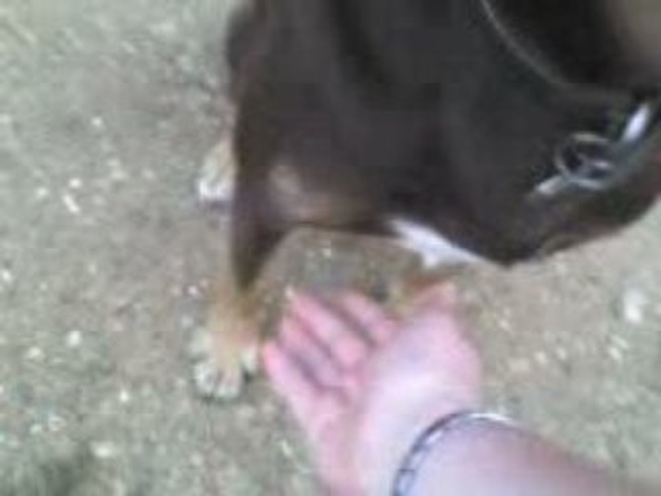 TOOFI (lL')