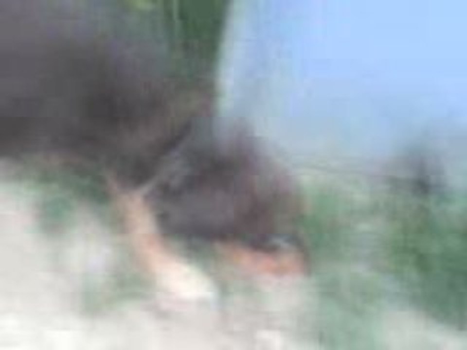 TOOFI :)