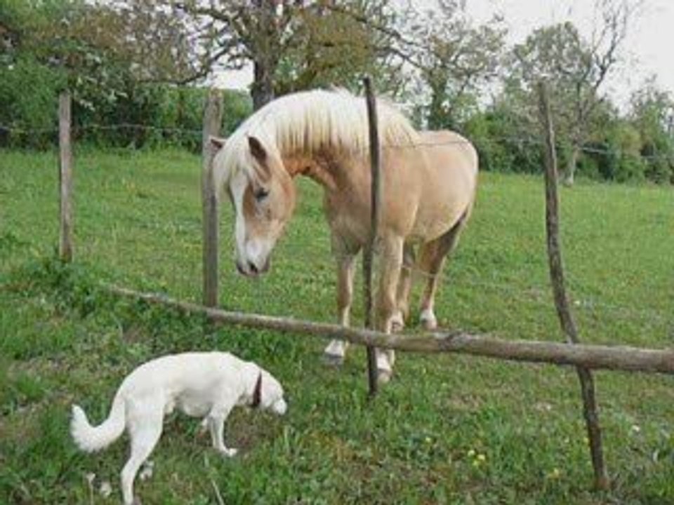05.05.09 Ballade