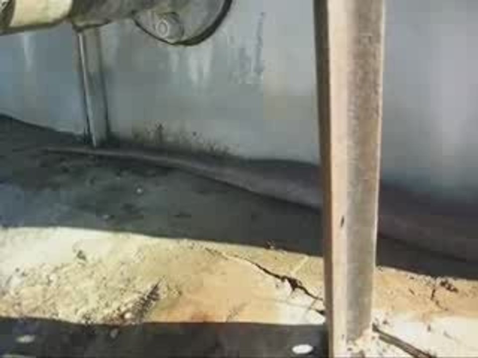 Cobra.wmv