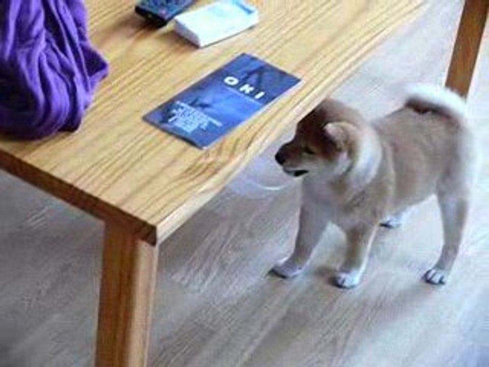 Leyka emmène sa gamelle...