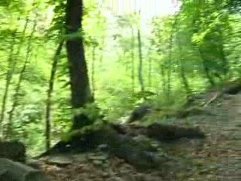 Rém adventure