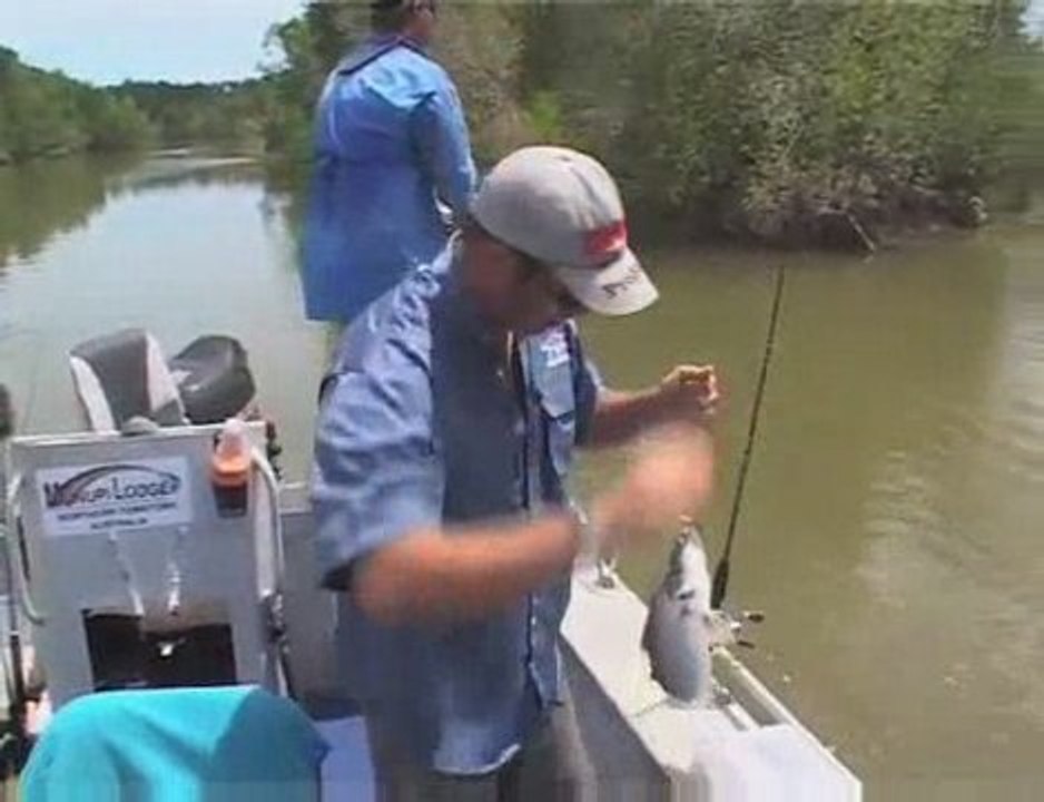 Mark Berg's Hot Barramundi Session