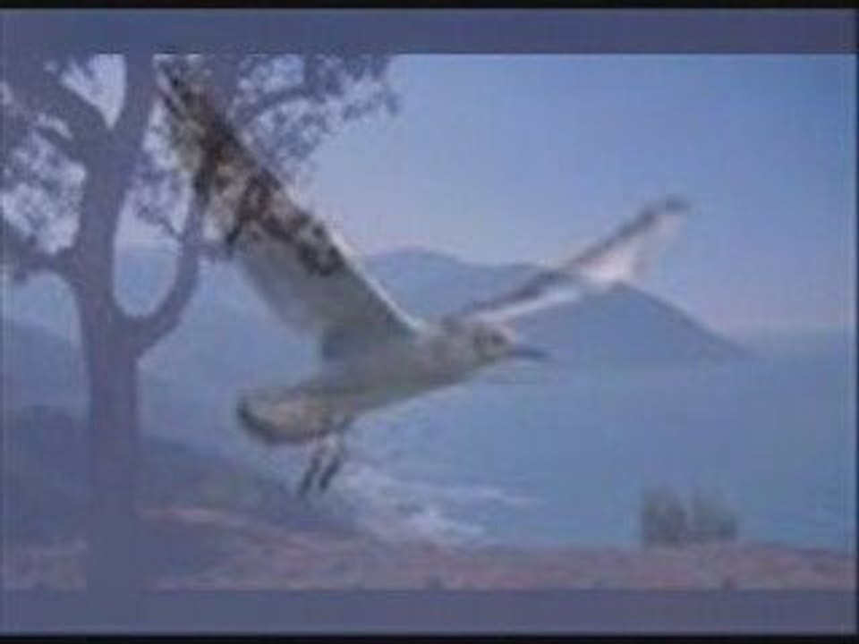 Aldjia - A tejra ne l'khokh