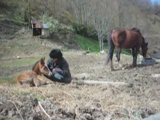Volupté et les câlins