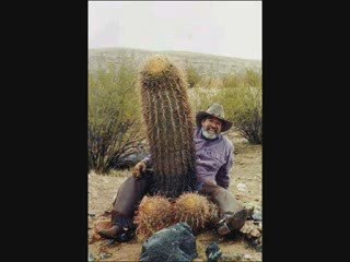 Les Couilles En Bronze