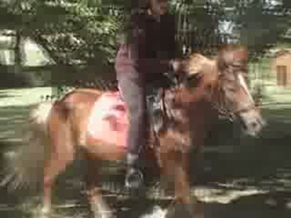Jade cheval 1m