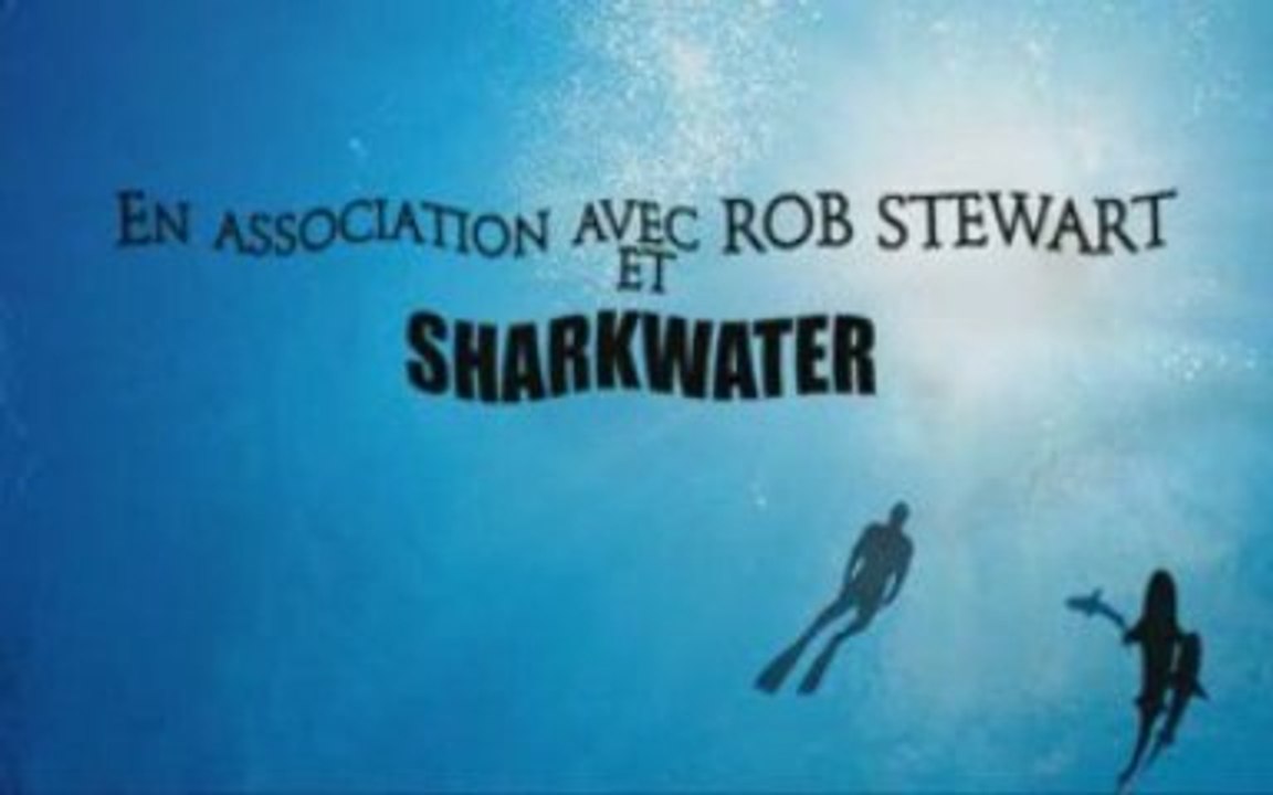Shark watcher TEMPVS COMPVTARE Watches