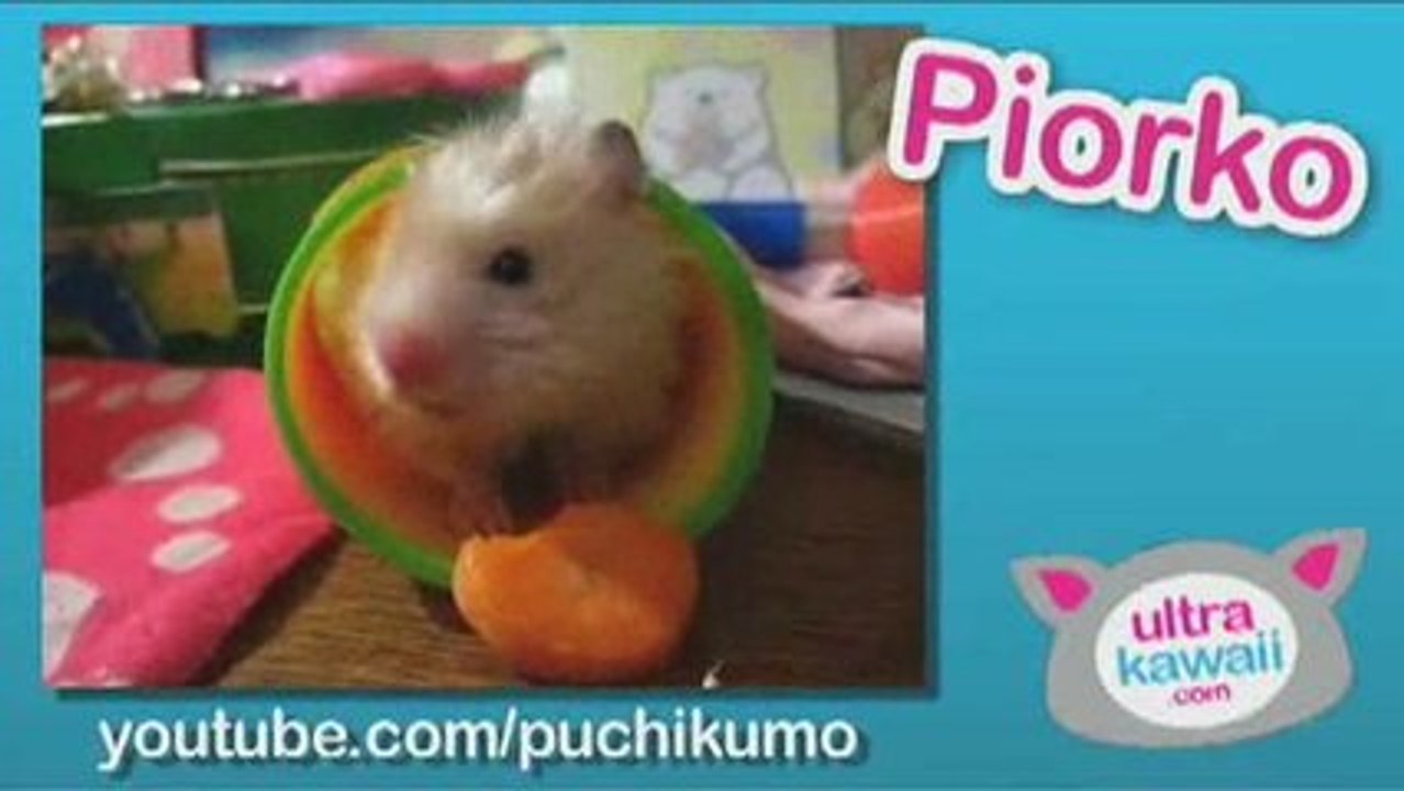 Ultra Kawaii - Chow Down!