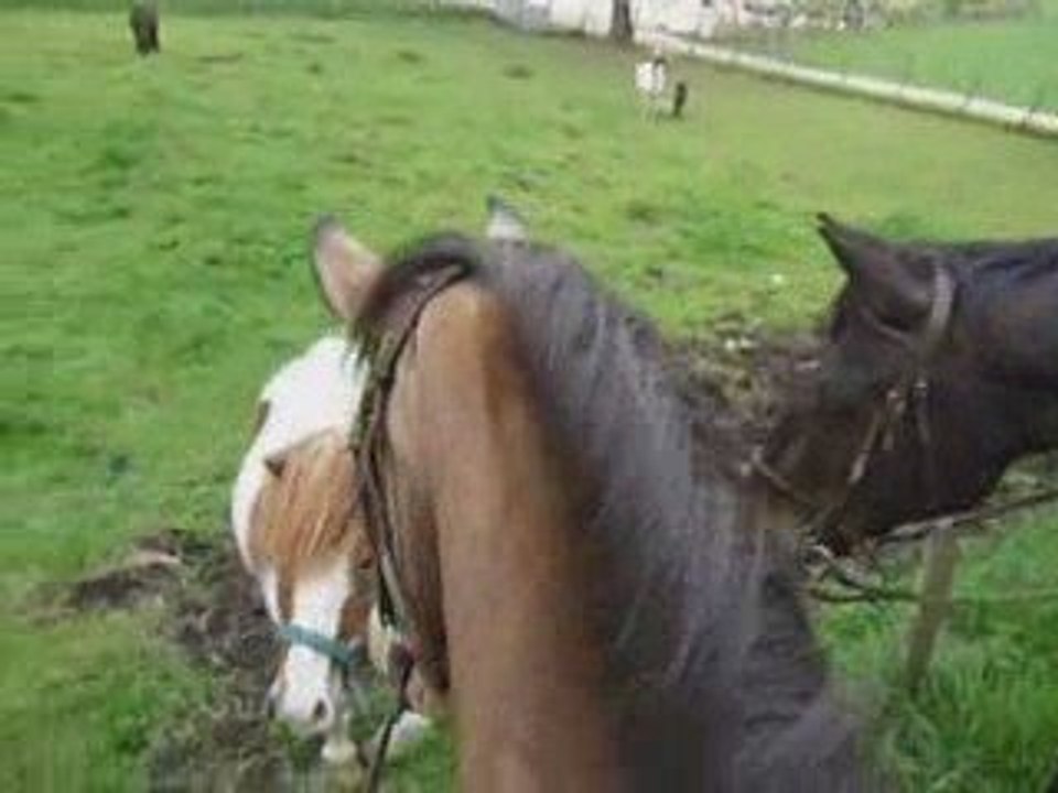 Vidéo Ballade 20.04.09 WMM_0001
