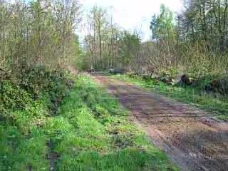 totof 450crf KAISER RORO