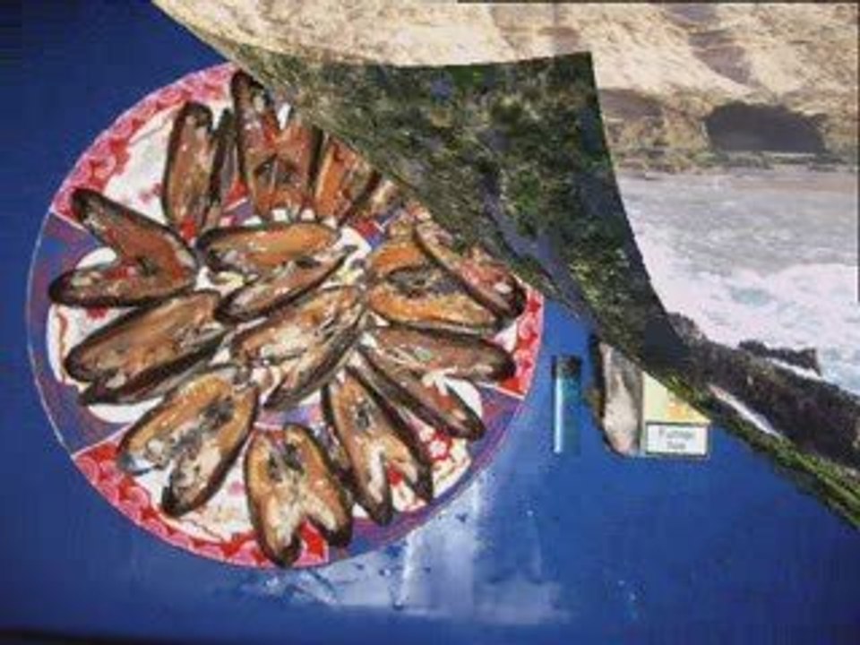 Agadirmassa.com
