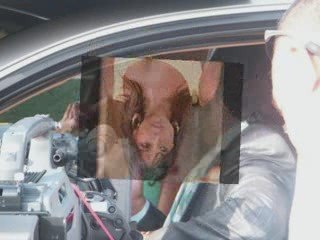 dedicado a lorena rojas